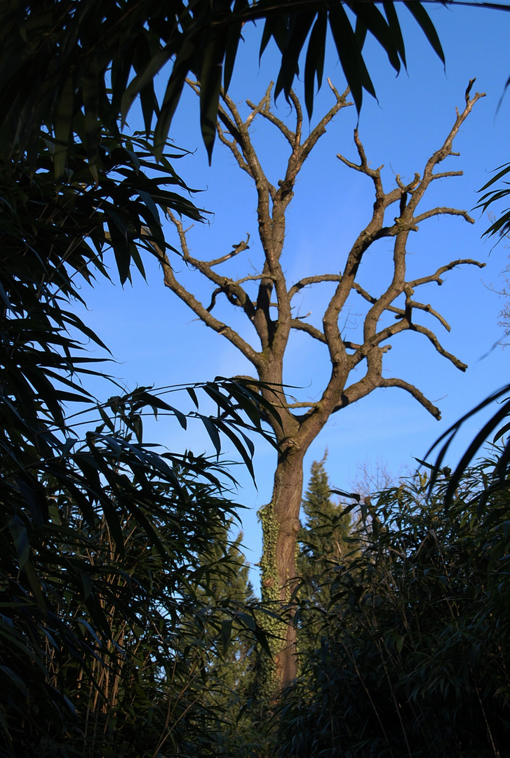 Zoo Duisburg