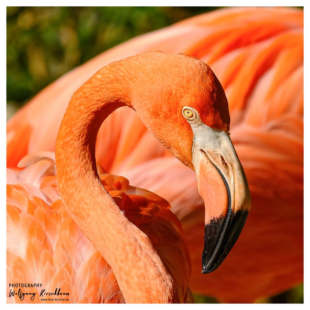 Zoo Duisburg