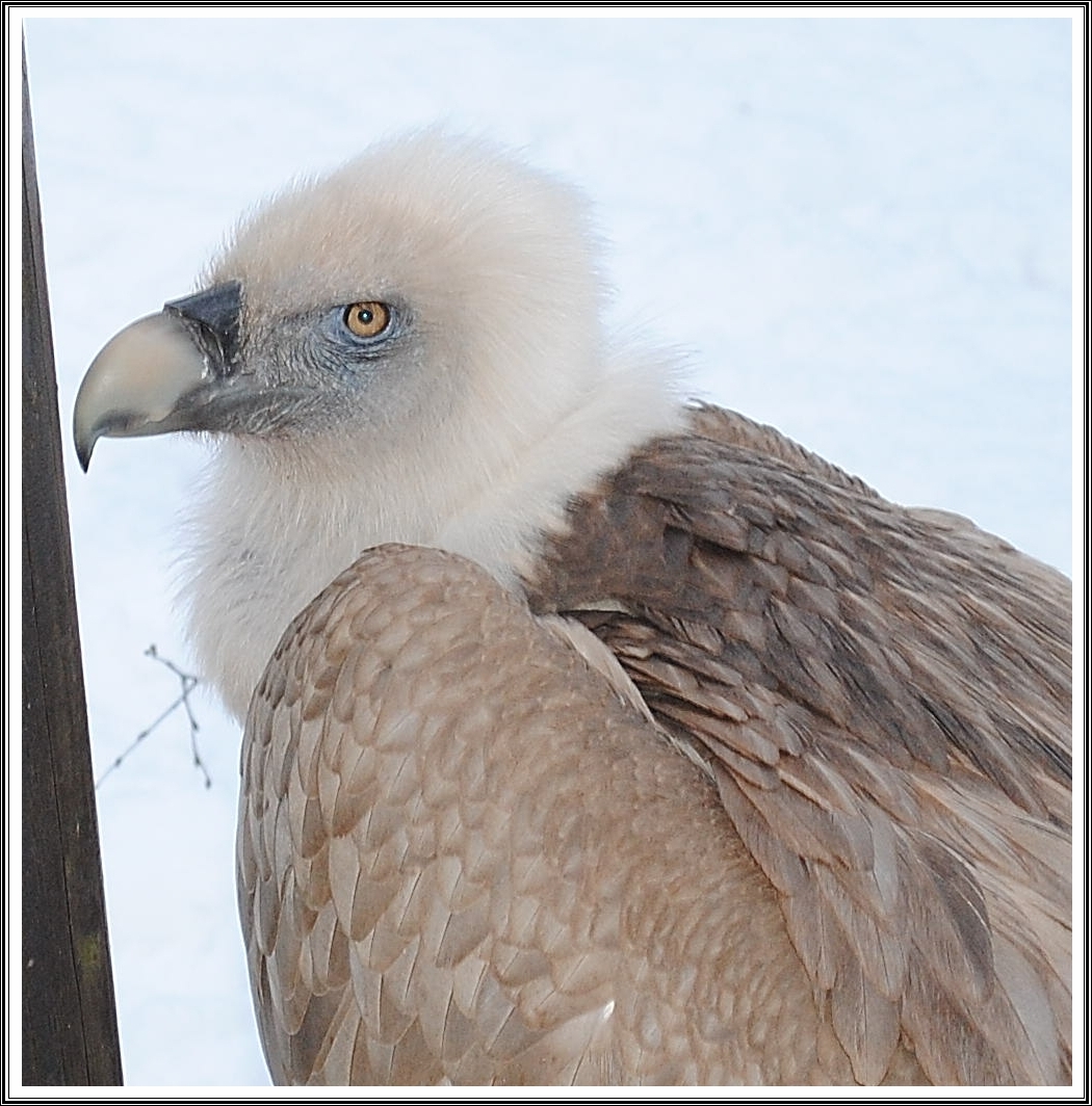 Zoo Duisburg