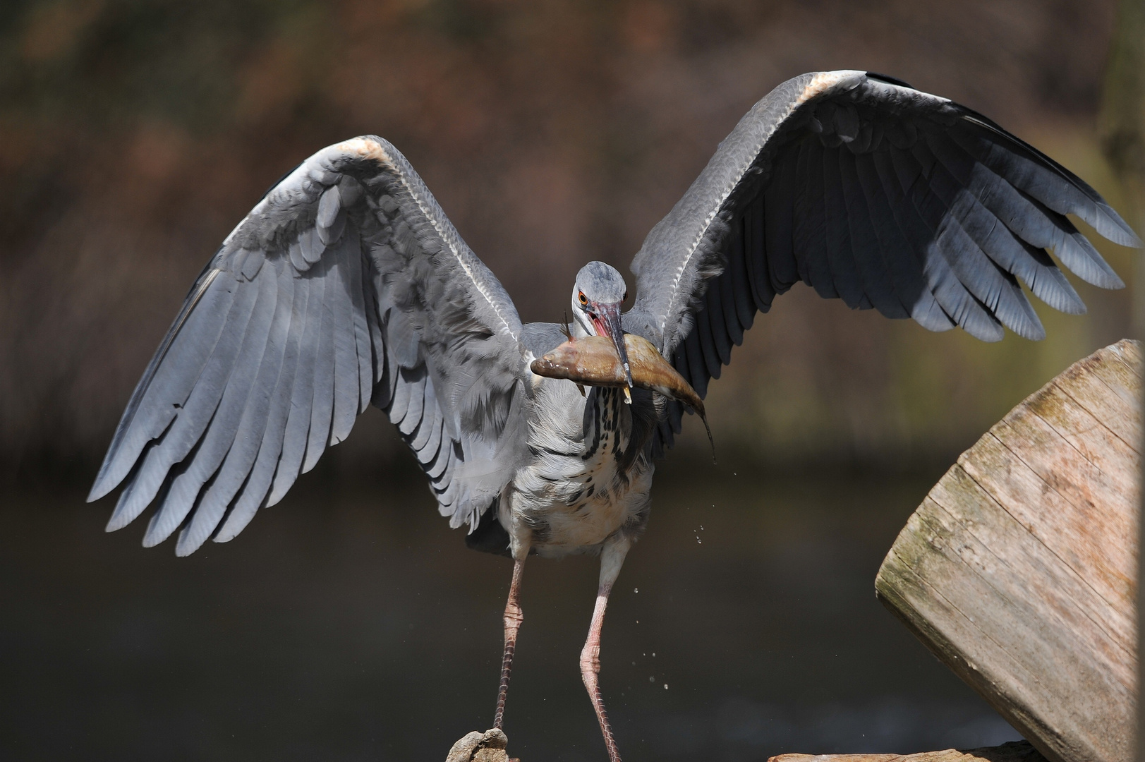 Zoo Duisburg 6