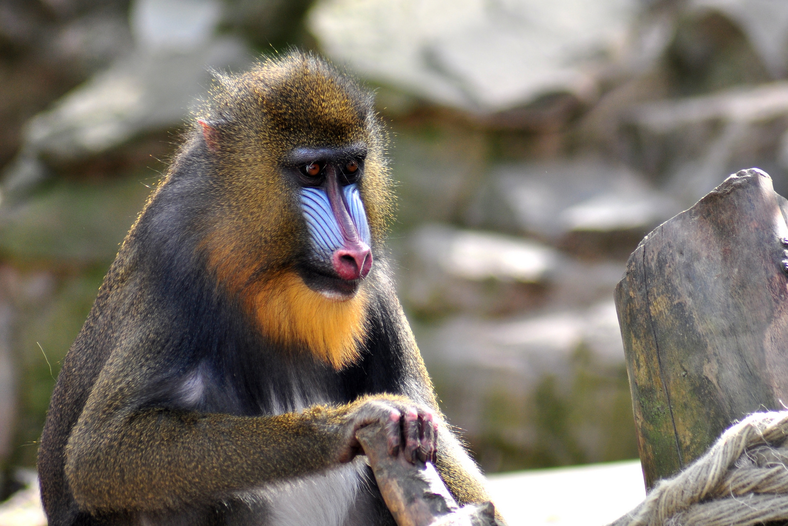 Zoo Duisburg 6