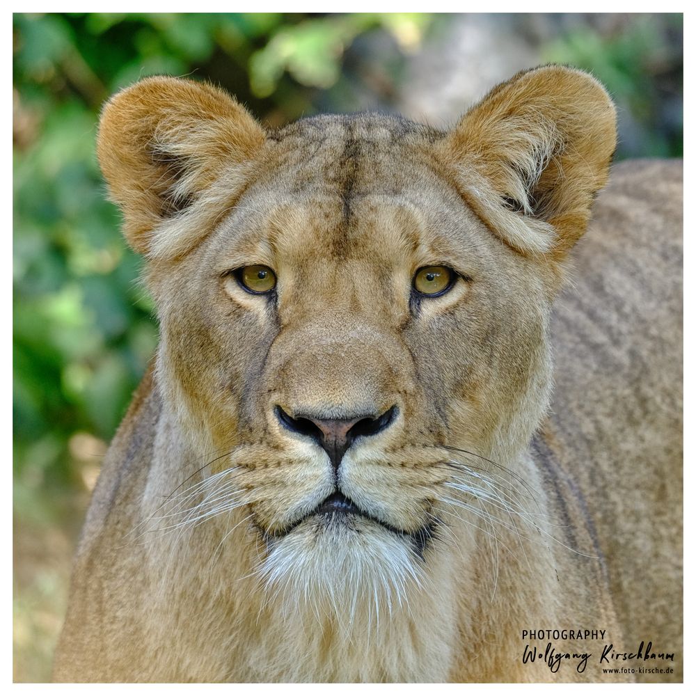 Zoo Duisburg