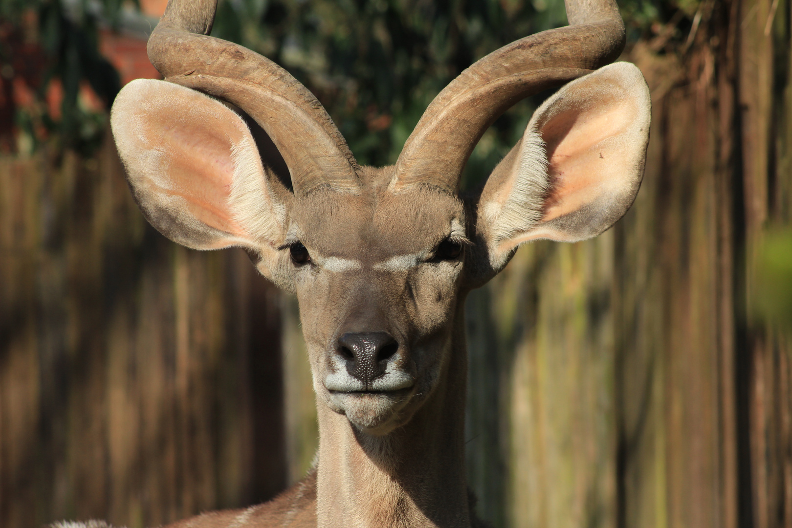 Zoo Duisburg