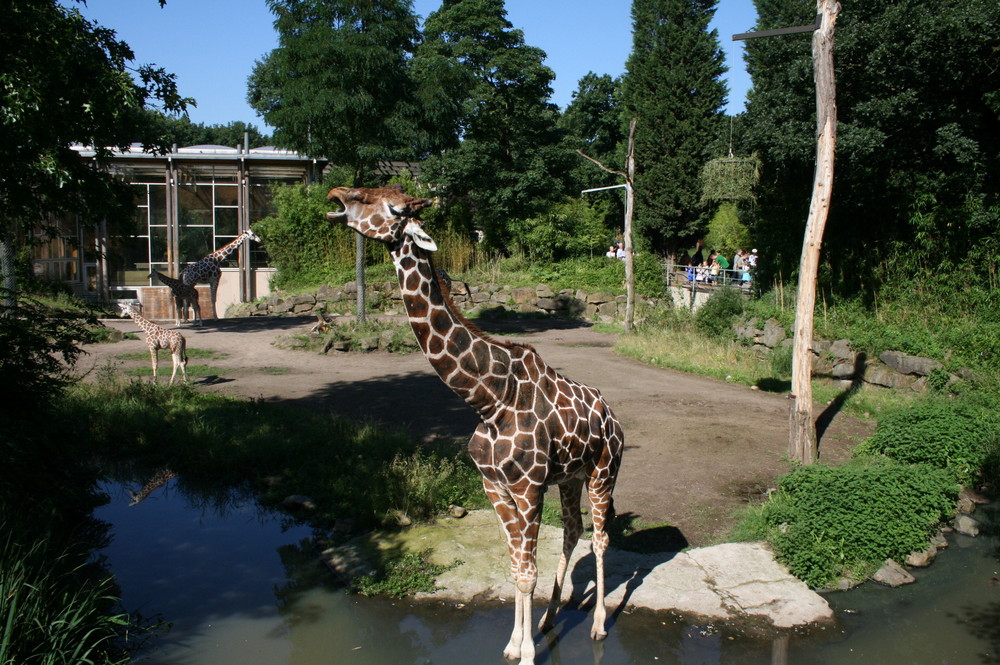 Zoo Duisburg