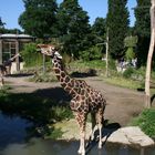 Zoo Duisburg