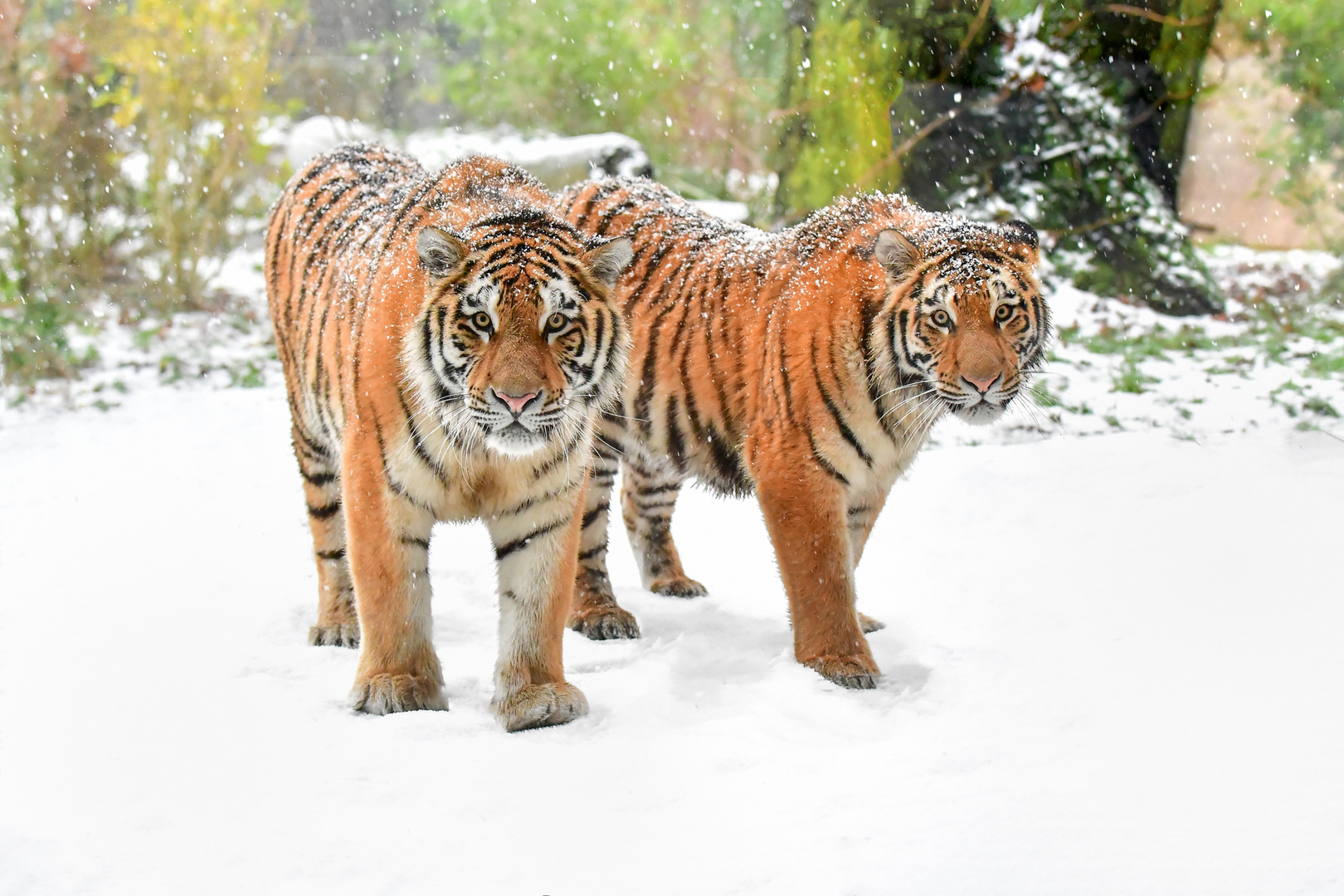 Zoo Duisburg (7)