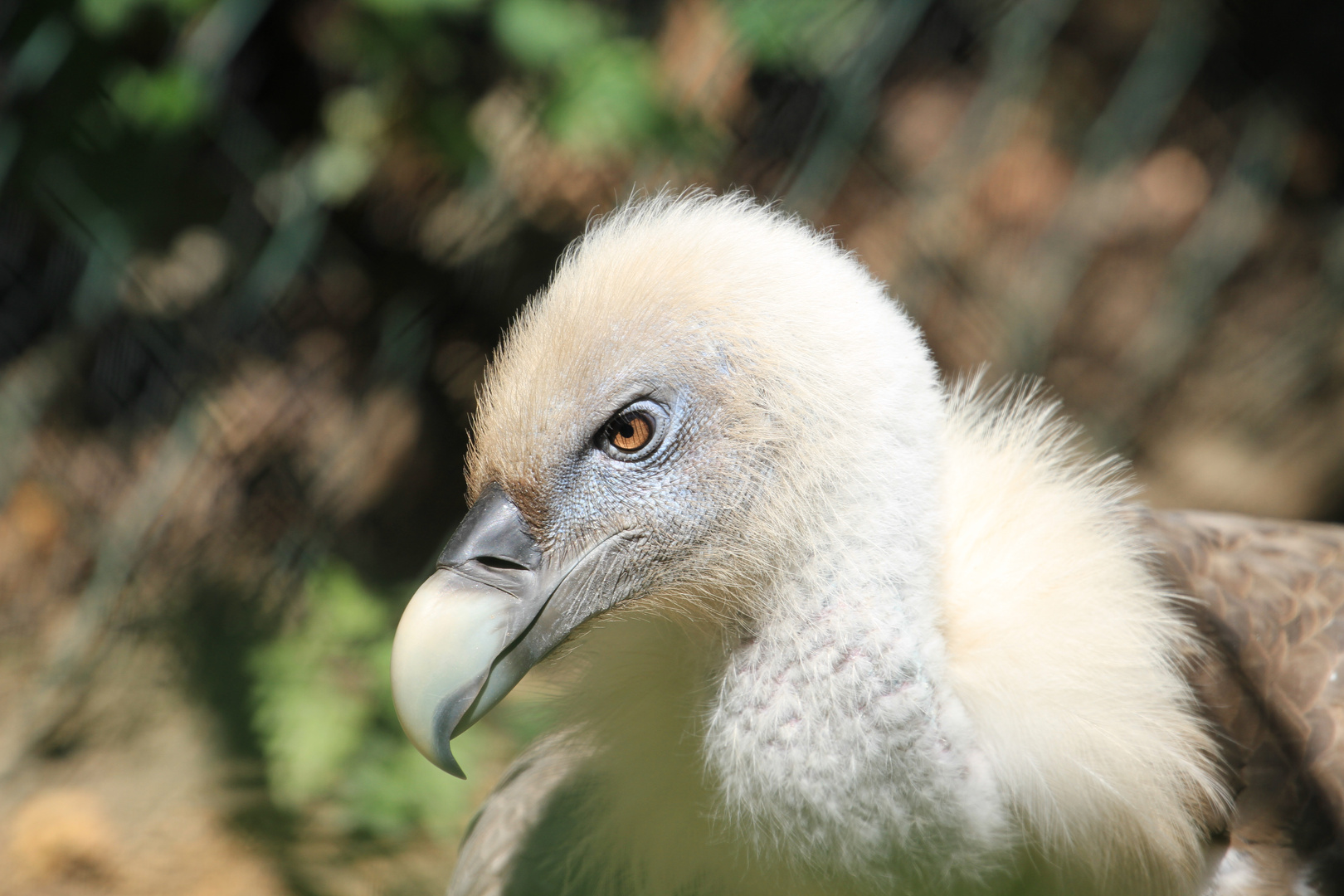 Zoo Duisburg 