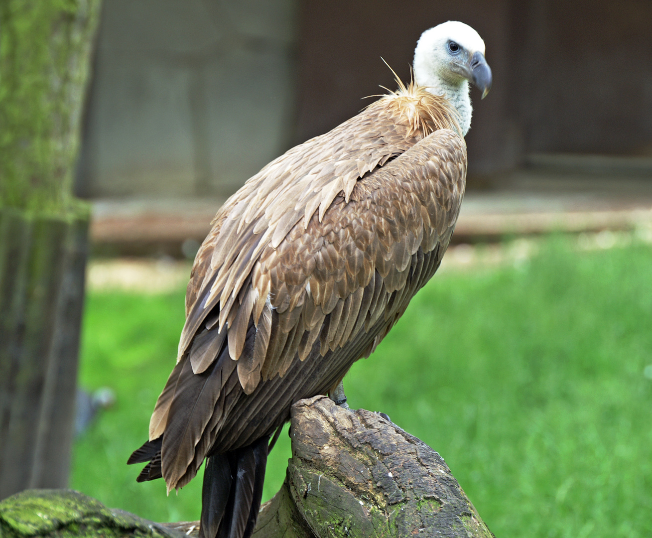 Zoo Duisburg