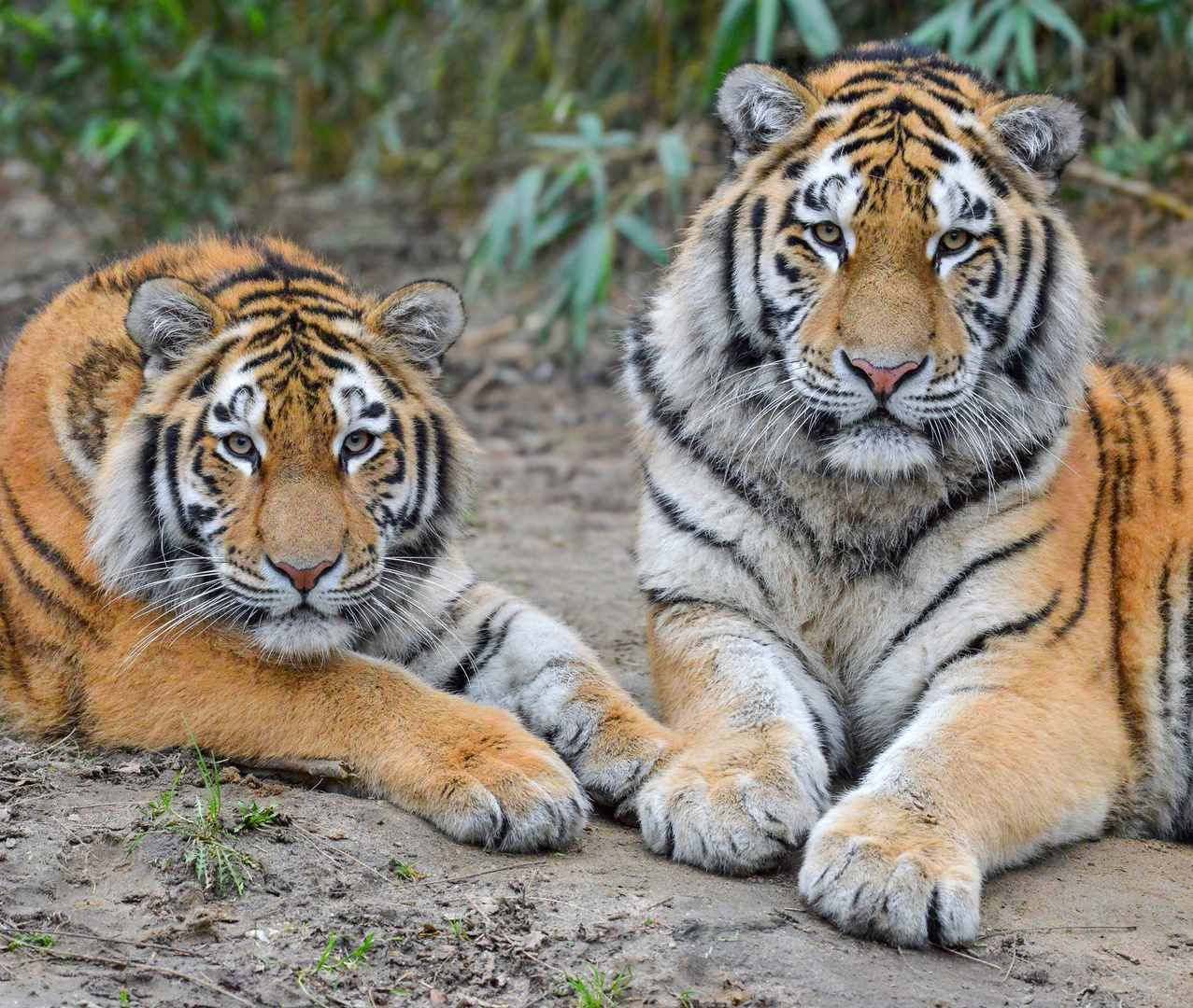 Zoo Duisburg (9)