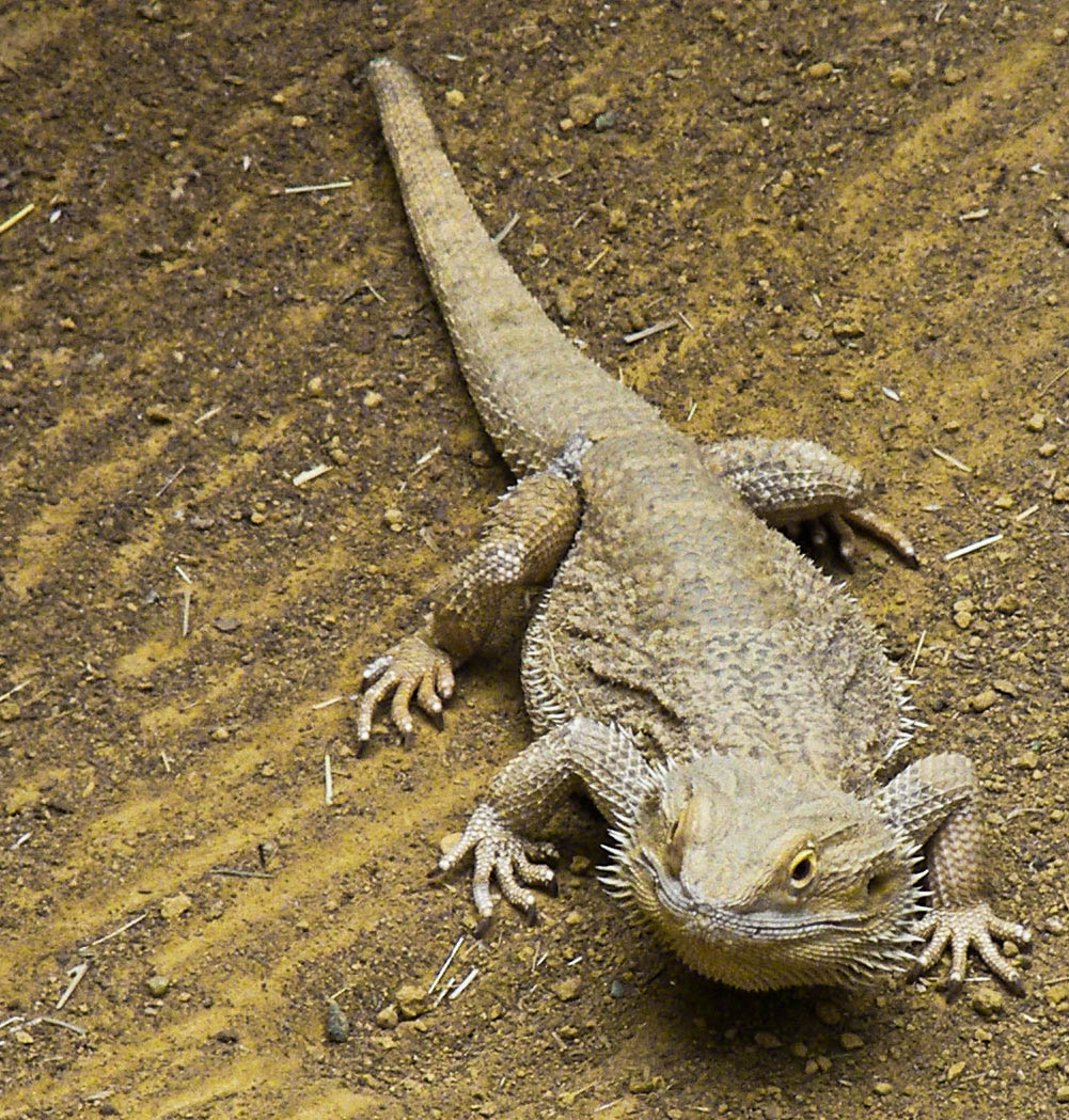 Zoo Duisburg