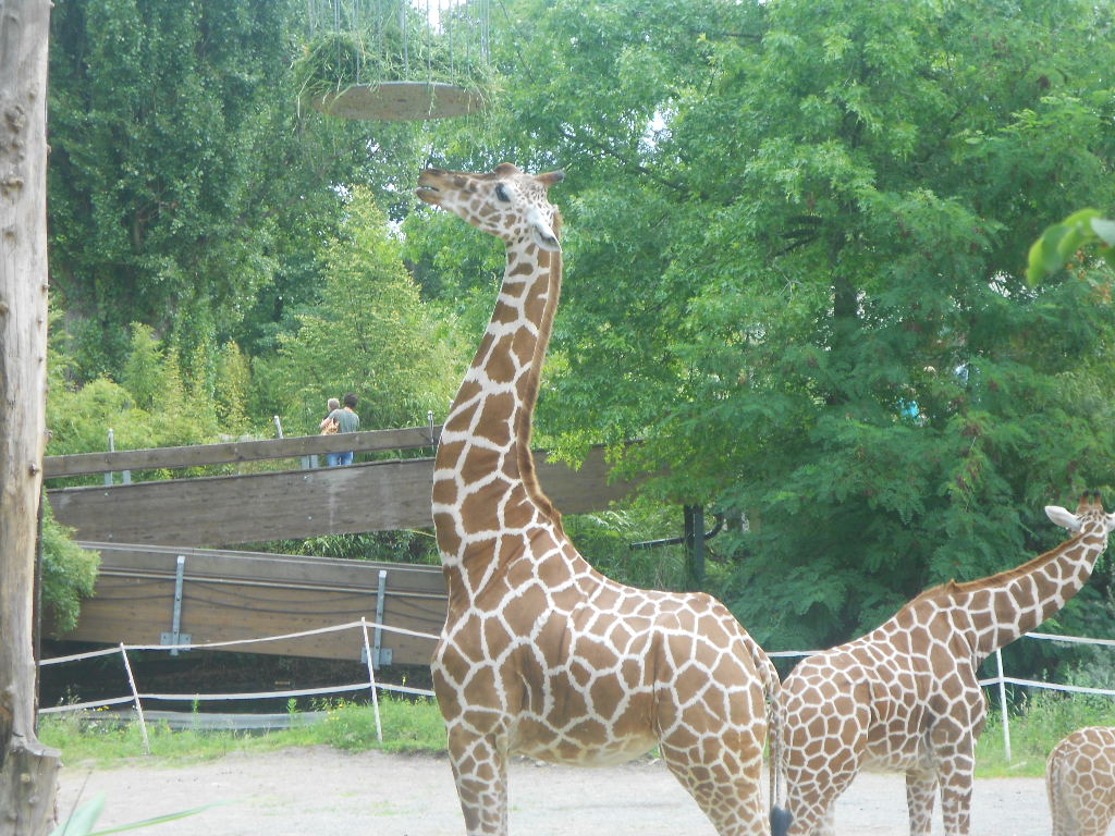 Zoo Duisburg