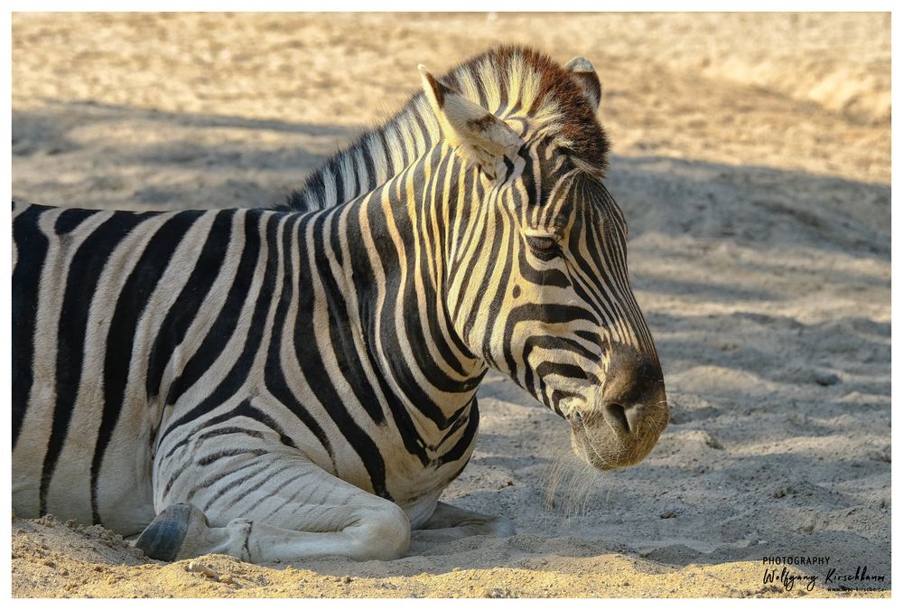 Zoo Duisburg