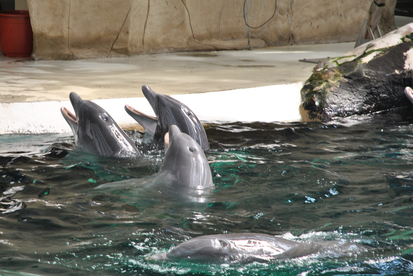 Zoo Duisburg