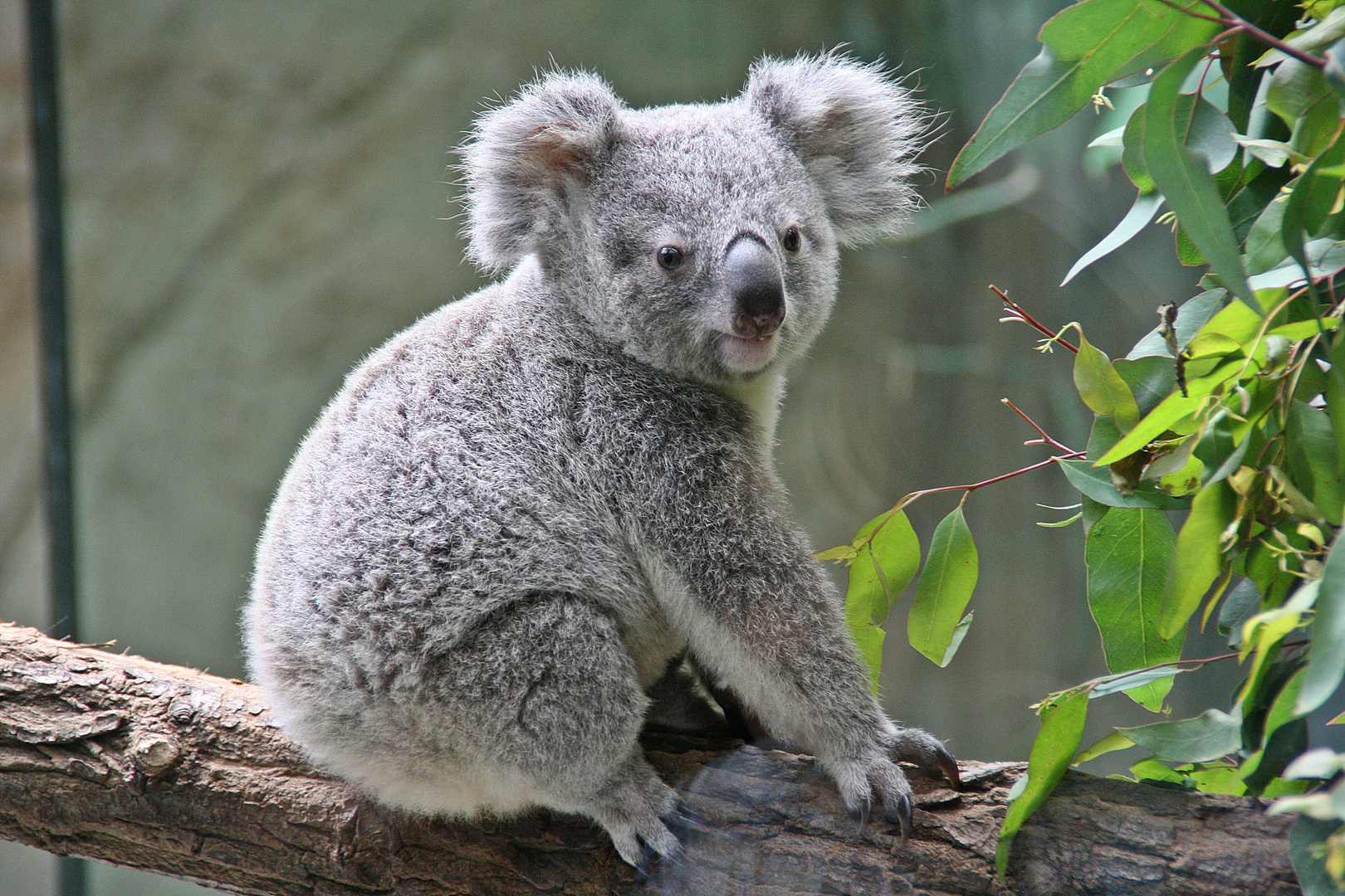 Zoo Duisburg