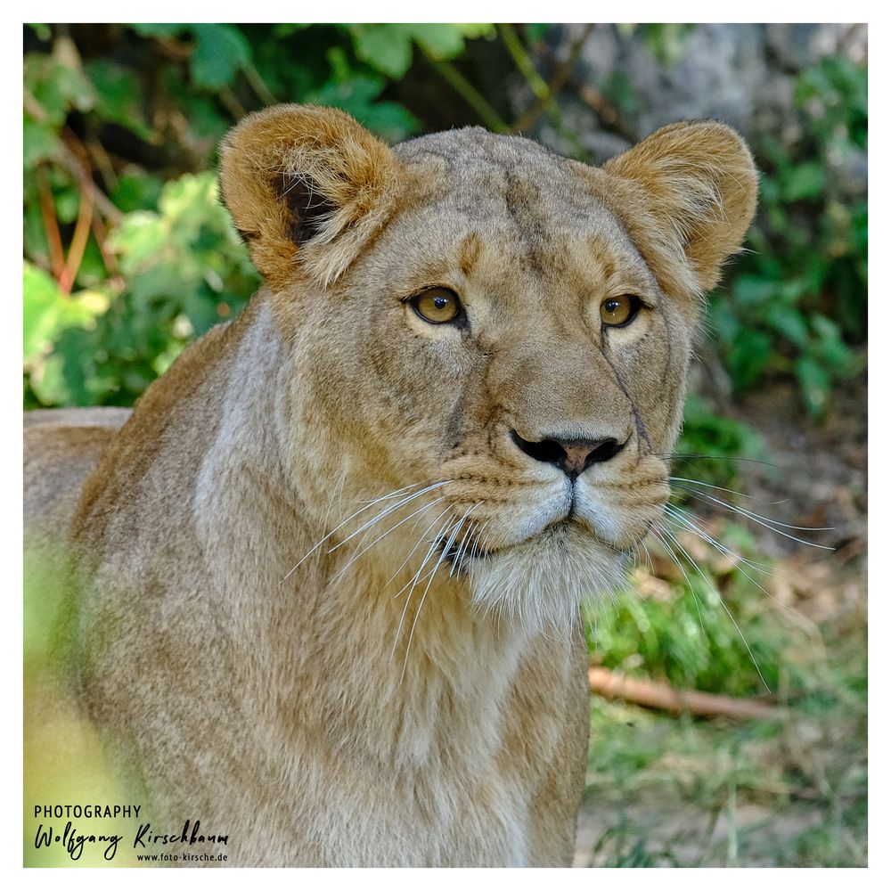 Zoo Duisburg