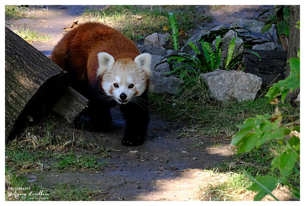 Zoo Duisburg