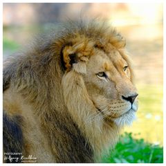 Zoo Duisburg