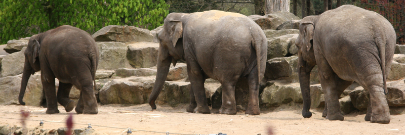 Zoo Emmen 01