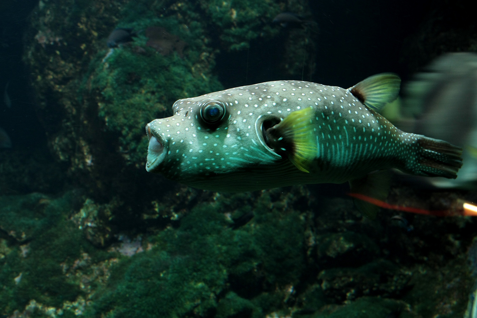 Zoo Emmen NL