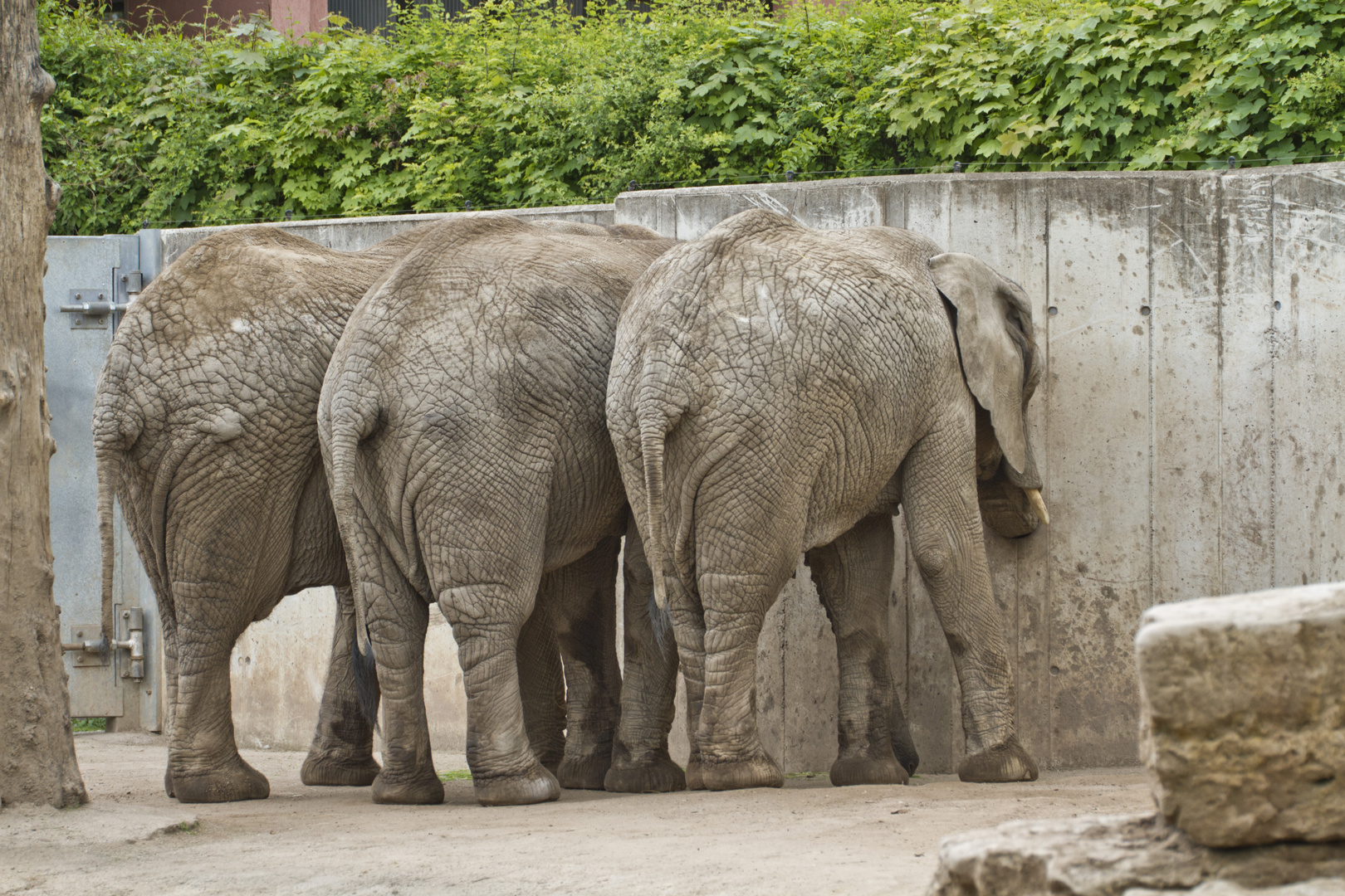 Zoo Erfurt