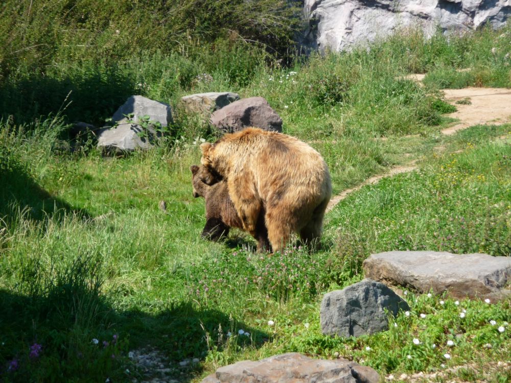 Zoo Erlebniswelt Gelsenkirchen