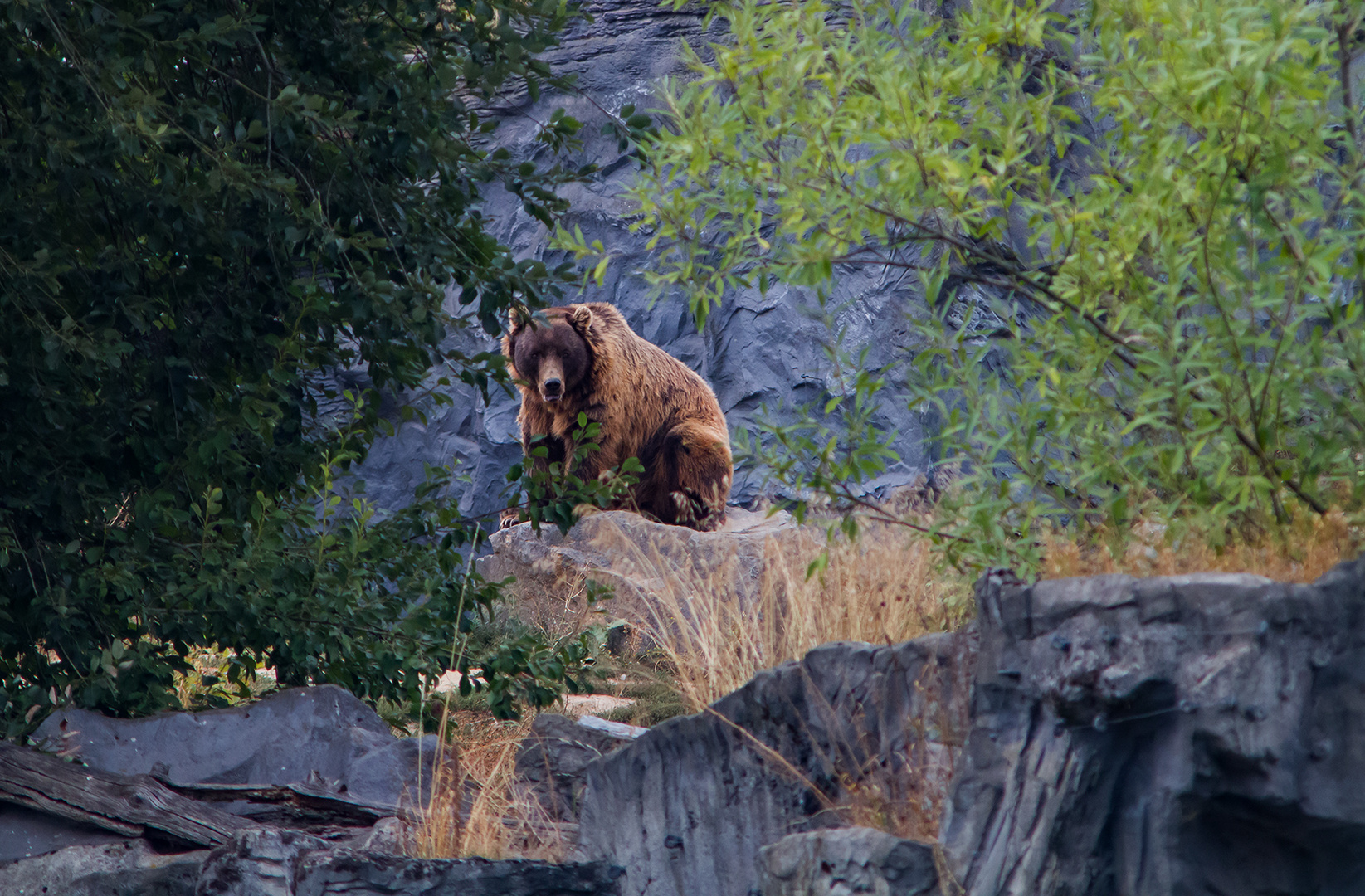 Zoo Gelsenkirchen