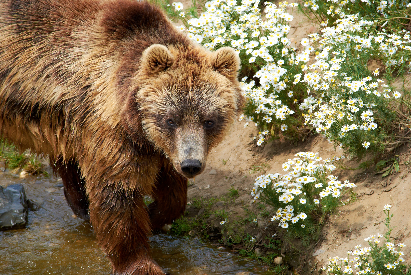 Zoo Gelsenkirchen