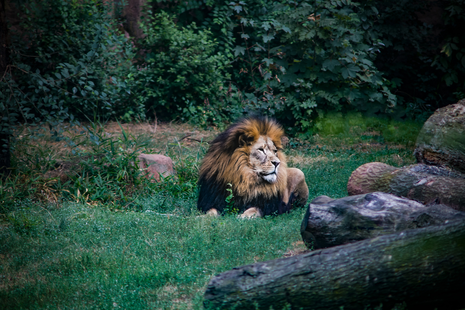 Zoo Gelsenkirchen