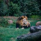 Zoo Gelsenkirchen