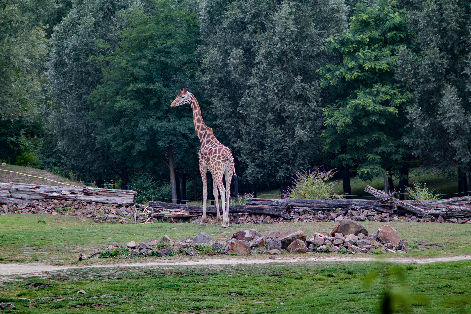 Zoo Gelsenkirchen