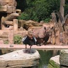 Zoo Hannover 01