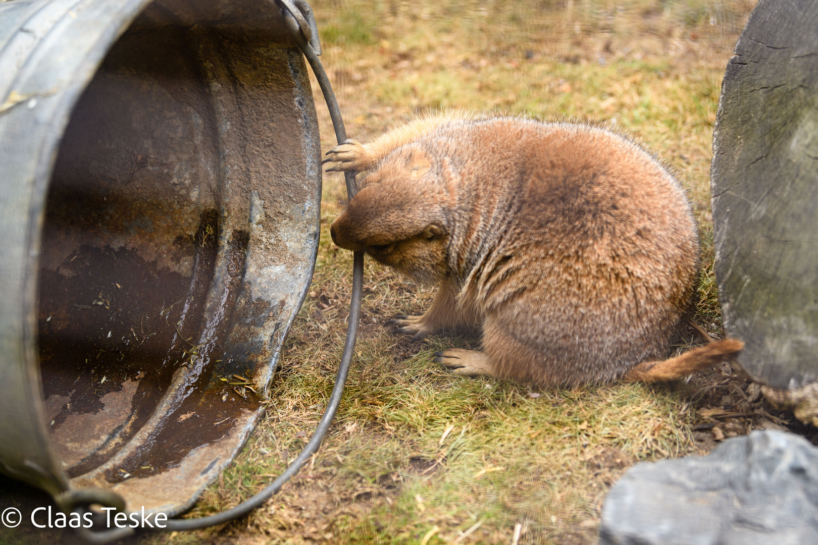 Zoo Hannover 3