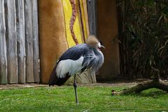 ZOO Hannover