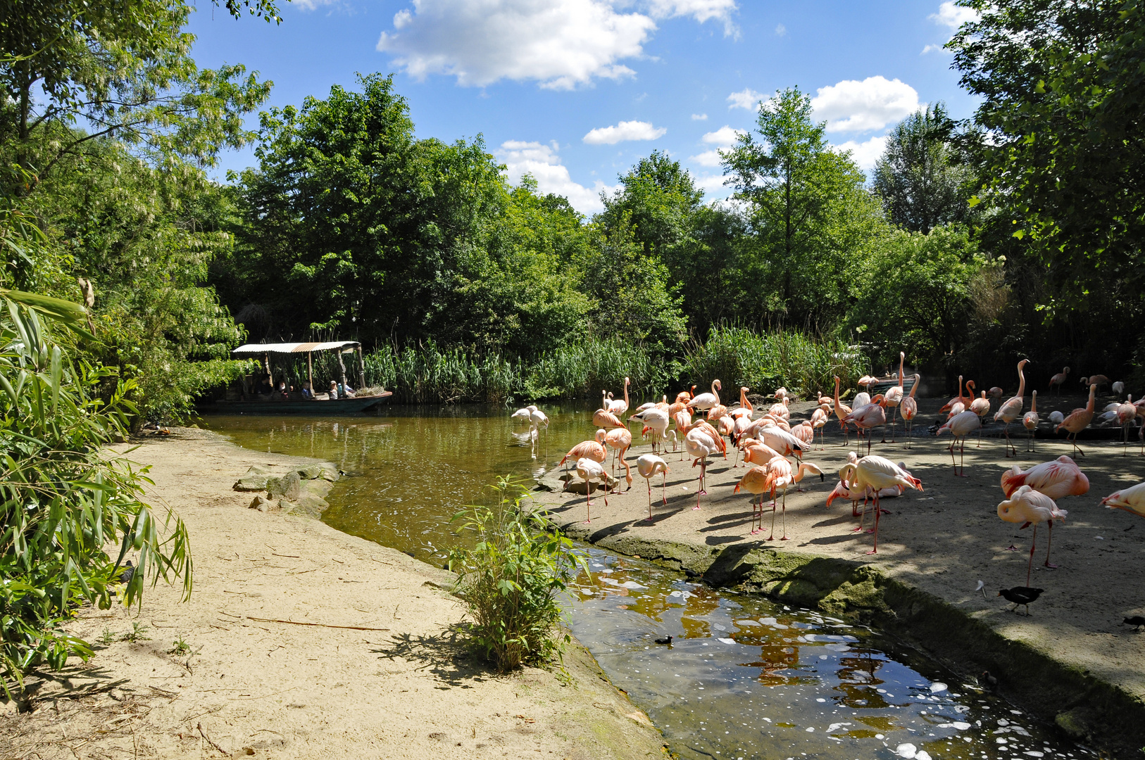 Zoo Hannover