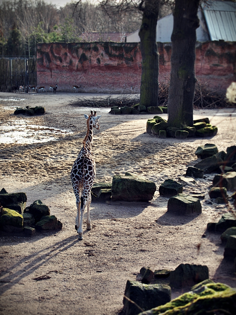 Zoo Hannover