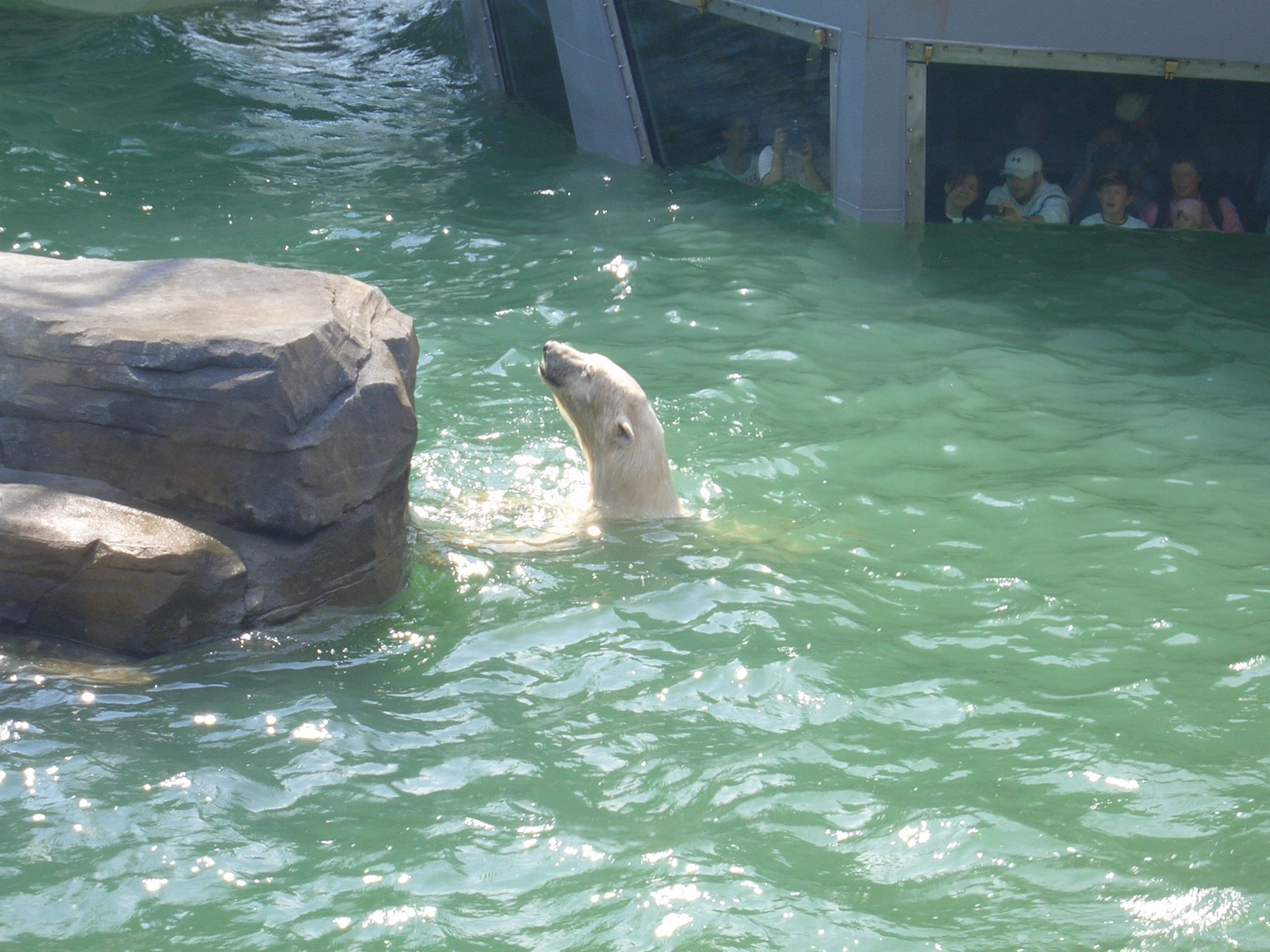 Zoo Hannover Yukon Bay