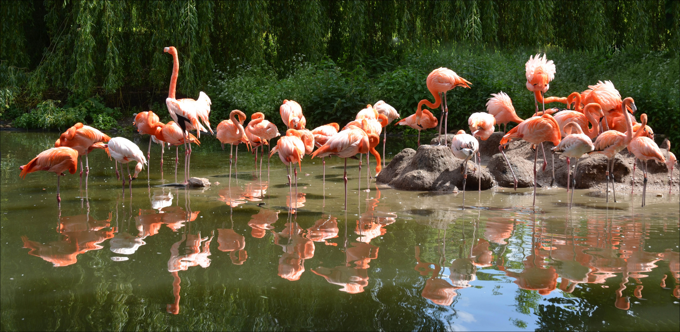 ZOO HEIDELBERG