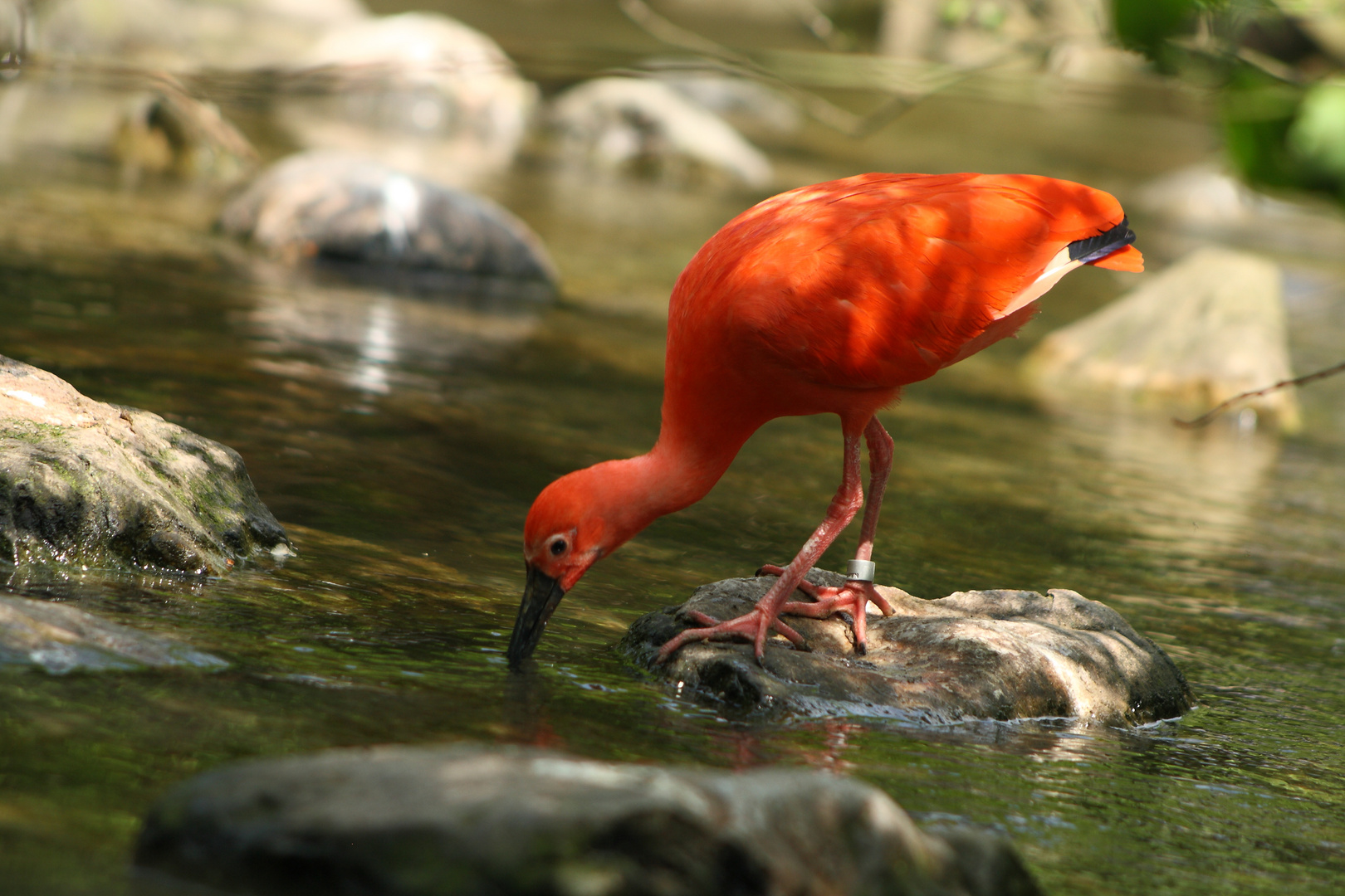 Zoo Hellabrunn