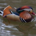 Zoo Hellabrunn München 15