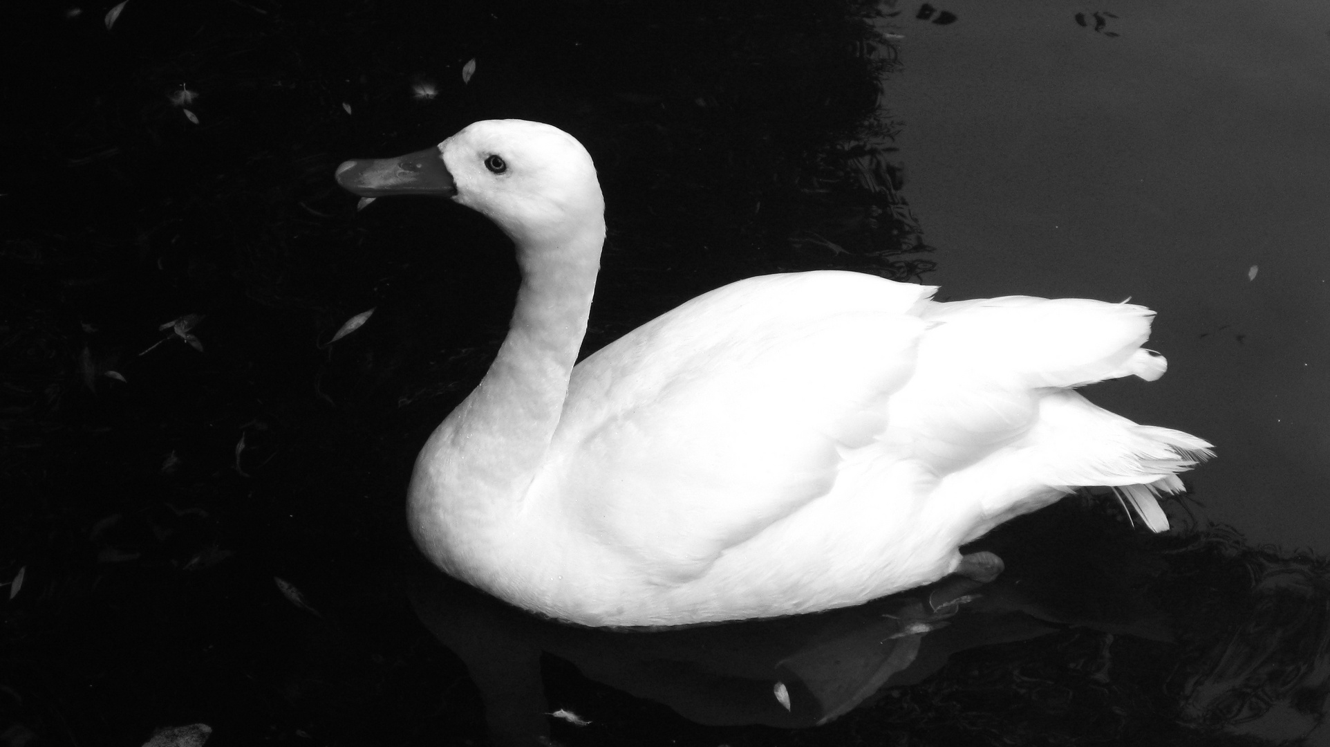 Zoo Hellabrunn München 2