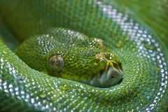 Zoo Hellabrunn München 22