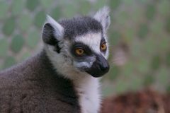 Zoo Hellabrunn München