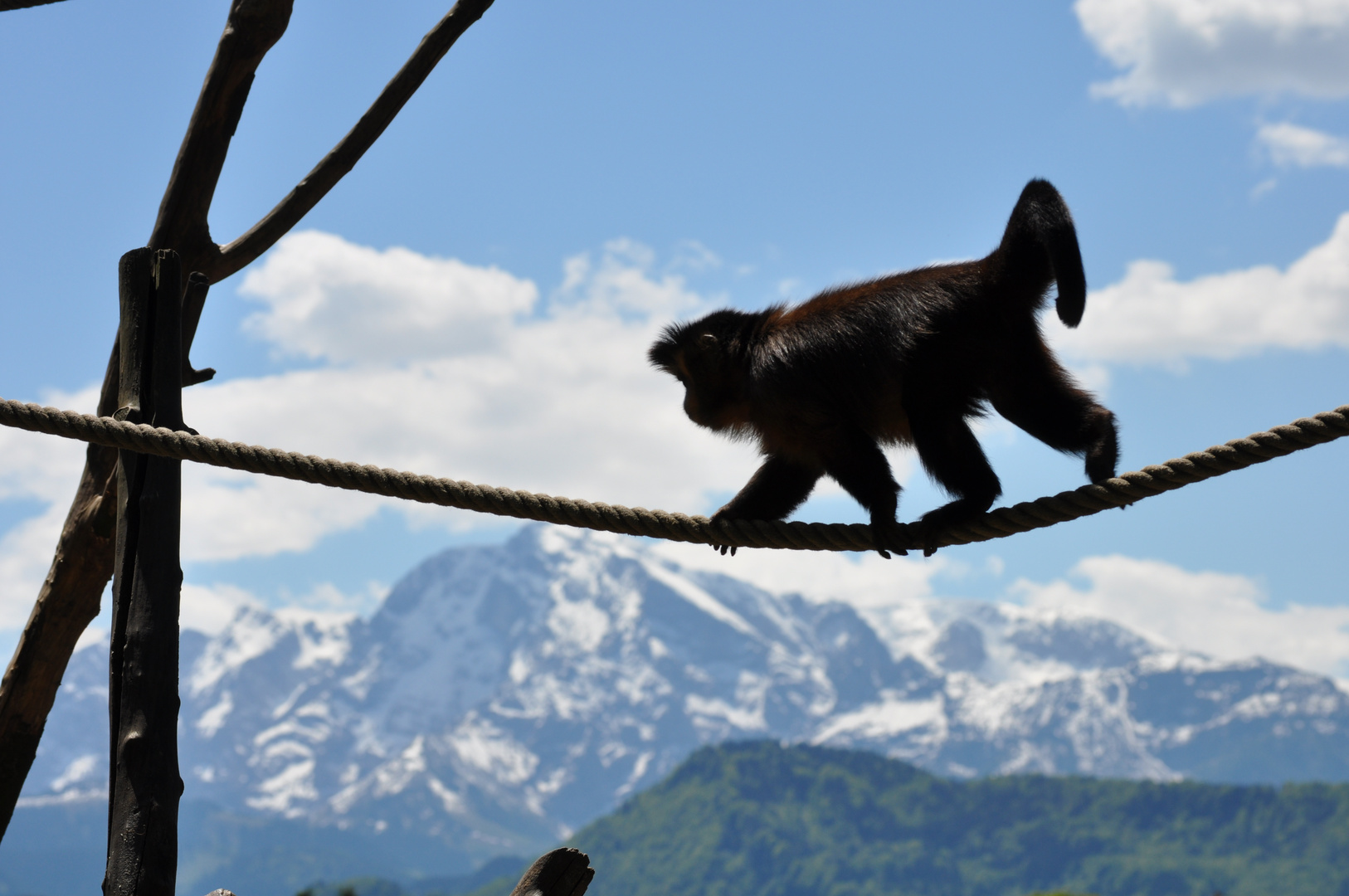 Zoo Hellbrunn