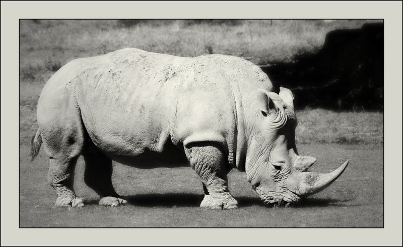 Zoo Hellbrunn