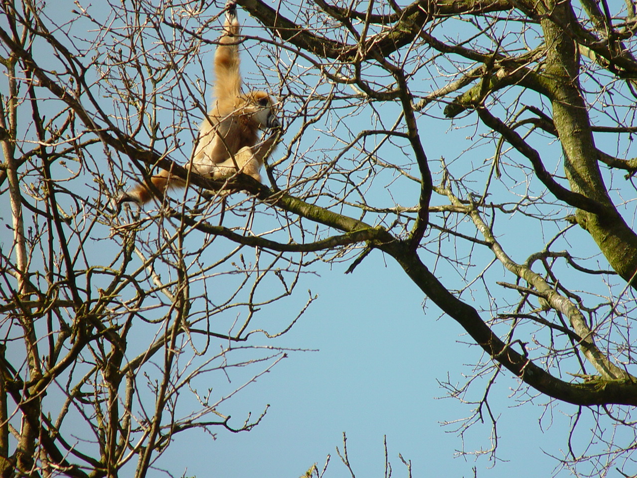 Zoo in Emmen