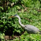 Zoo in Emmen