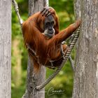 Zoo in Gelsenkirchen