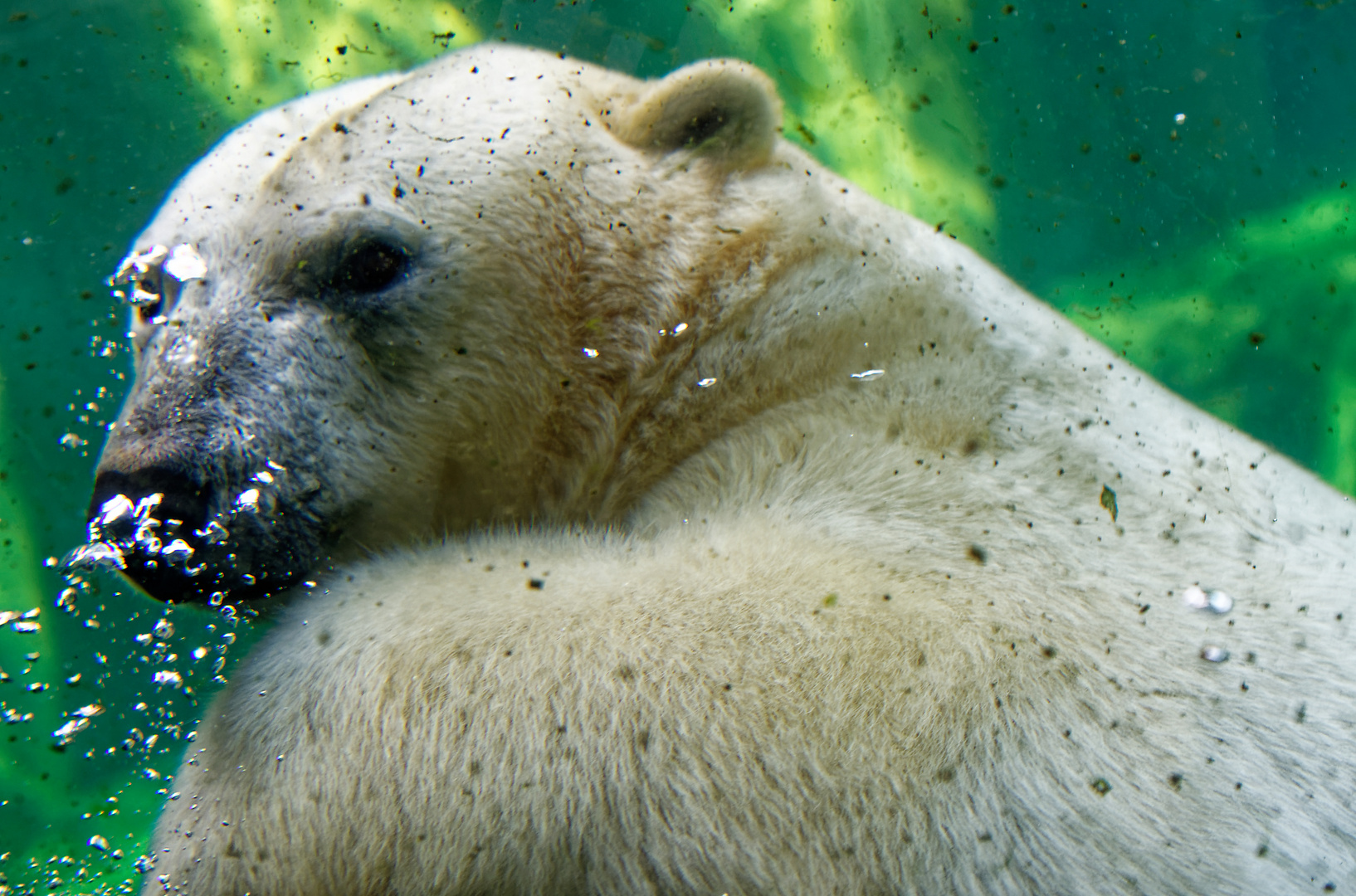 Zoo in Hannover