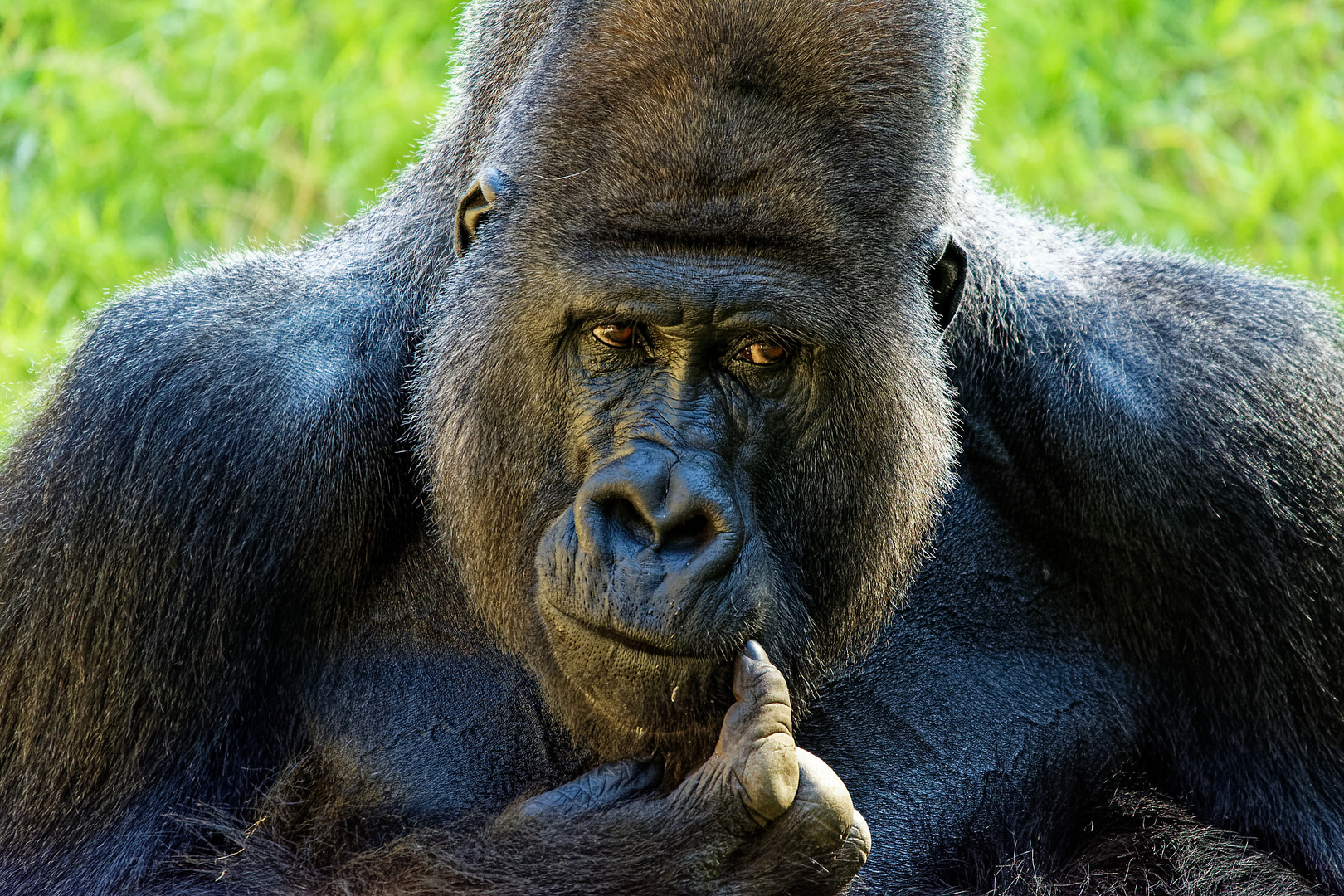 Zoo in Hannover