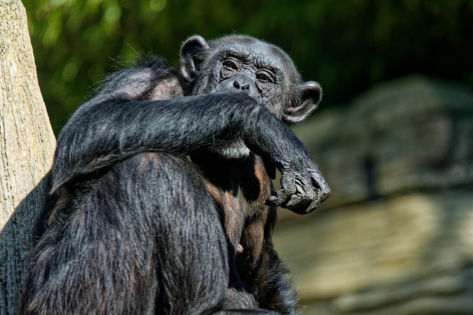 Zoo in Hannover